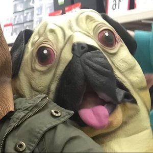 Pug mask